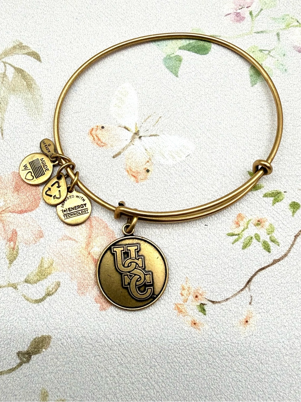 Alex and Ani Bracelet